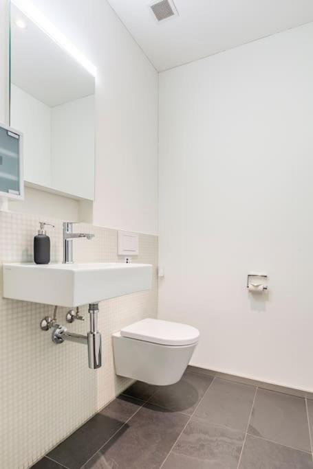 Luxus Wohnung Mit Garten 취리히 외부 사진